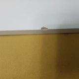 Фото из отзыва покупателя