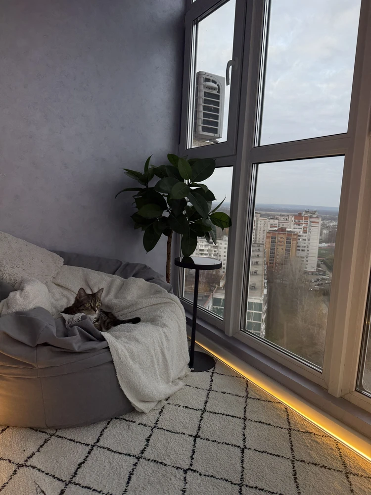 Фото покупателя к отзыву Дмитрий