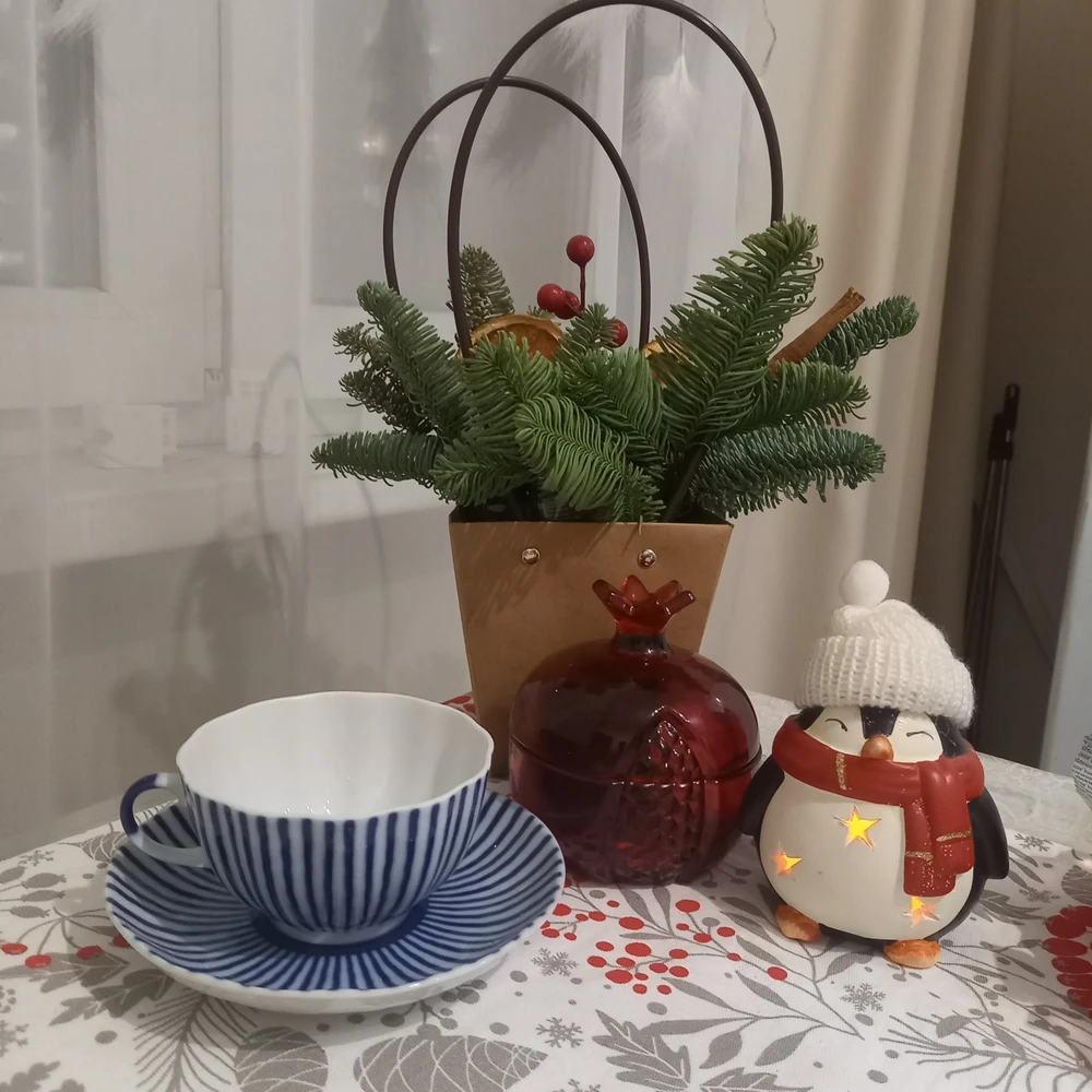 Екатерина отзыв от 31.12.2025
