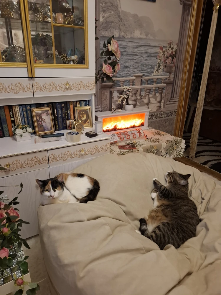 Фото покупателя к отзыву Дмитрий
